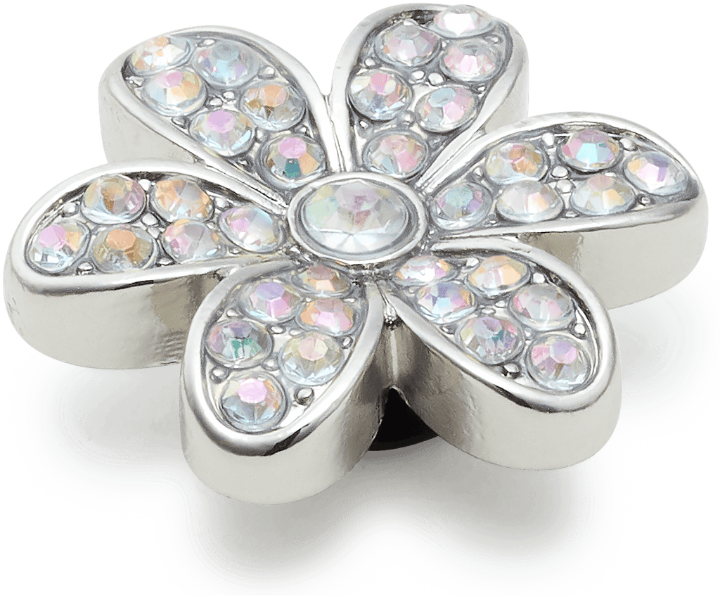 Silver Mnchrm Daisy 1